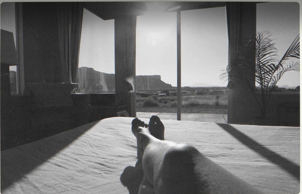 ביג ווטר Canyon Oasis Suite With Grand Mesa View מראה חיצוני תמונה