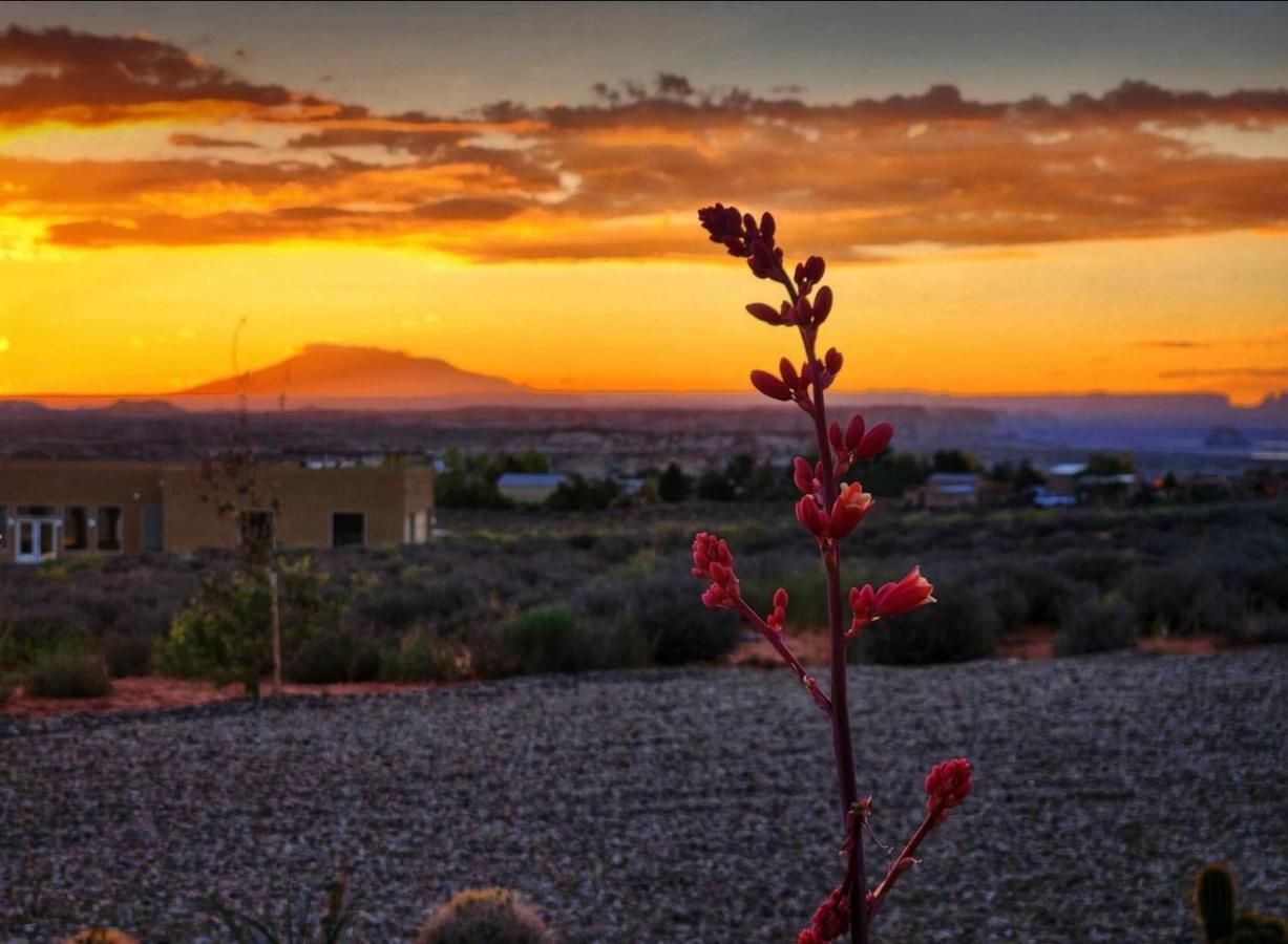 ביג ווטר Canyon Oasis Suite With Grand Mesa View מראה חיצוני תמונה
